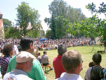 1050 Jahre Auhausen - Einzug der Bauernhaufen