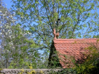 Grten im Klosterhof