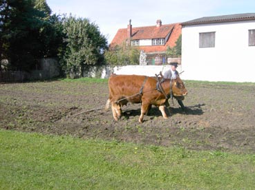 Drescherfest in Auhausen